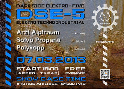 DSE-5