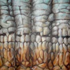 12 - 30x30 cm - 2006