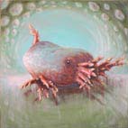 015 - 30x30 cm - 2006